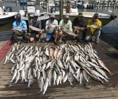 Huge haul of redfish and speckled trout