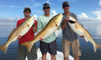 Redfish abound in southern Louisiana waters around Venice